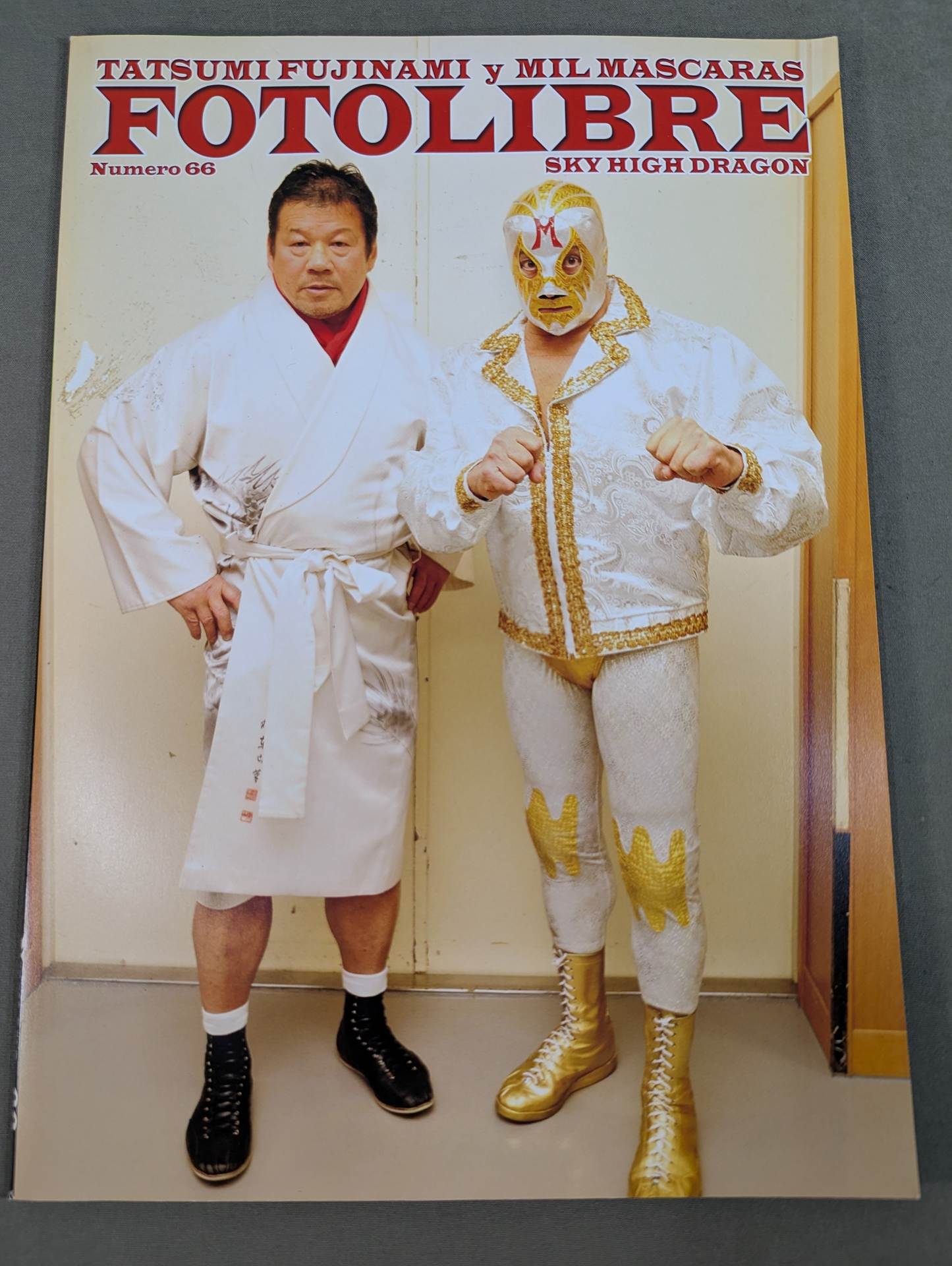 FOTOLIBRE de Mascara Numero.66