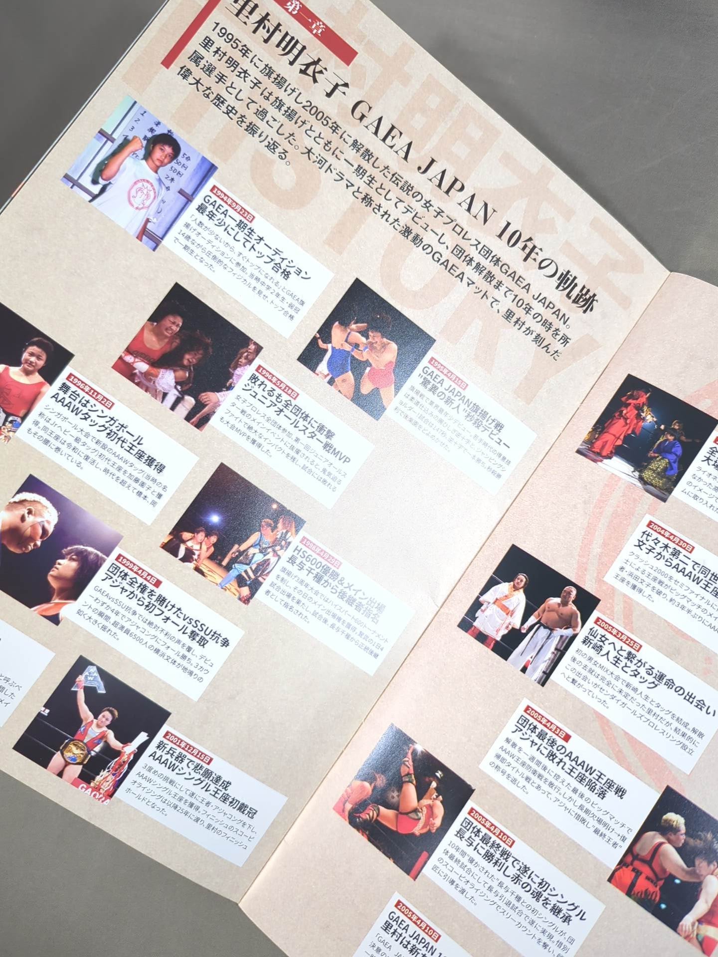 ★ ★ Meiko Satomura THE FINAL