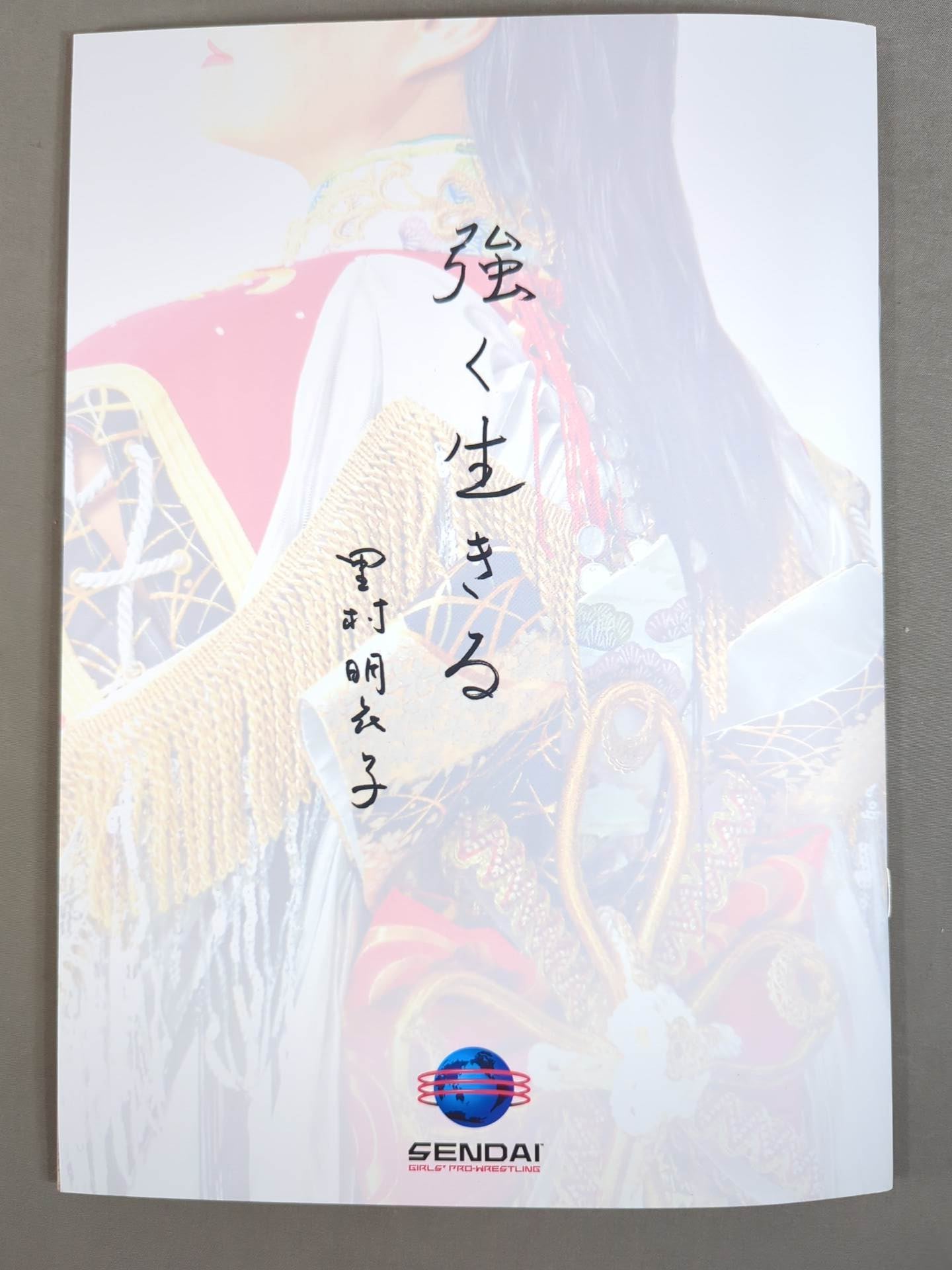 ★ ★ Meiko Satomura THE FINAL