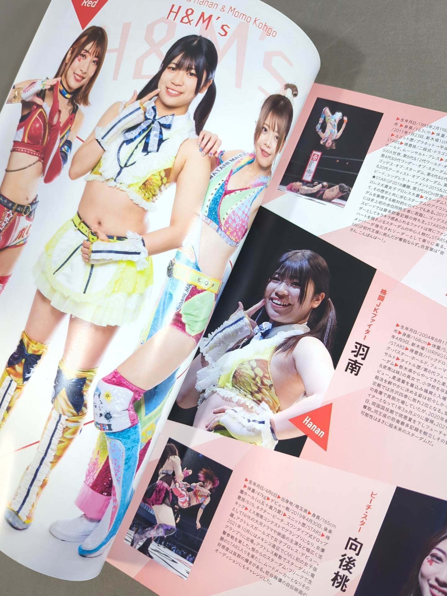 STARDOM OFFICIAL GUIDE BOOK Vol.145