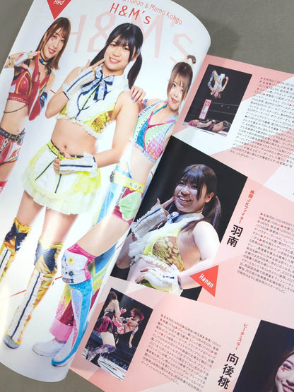 STARDOM OFFICIAL GUIDE BOOK Vol.145