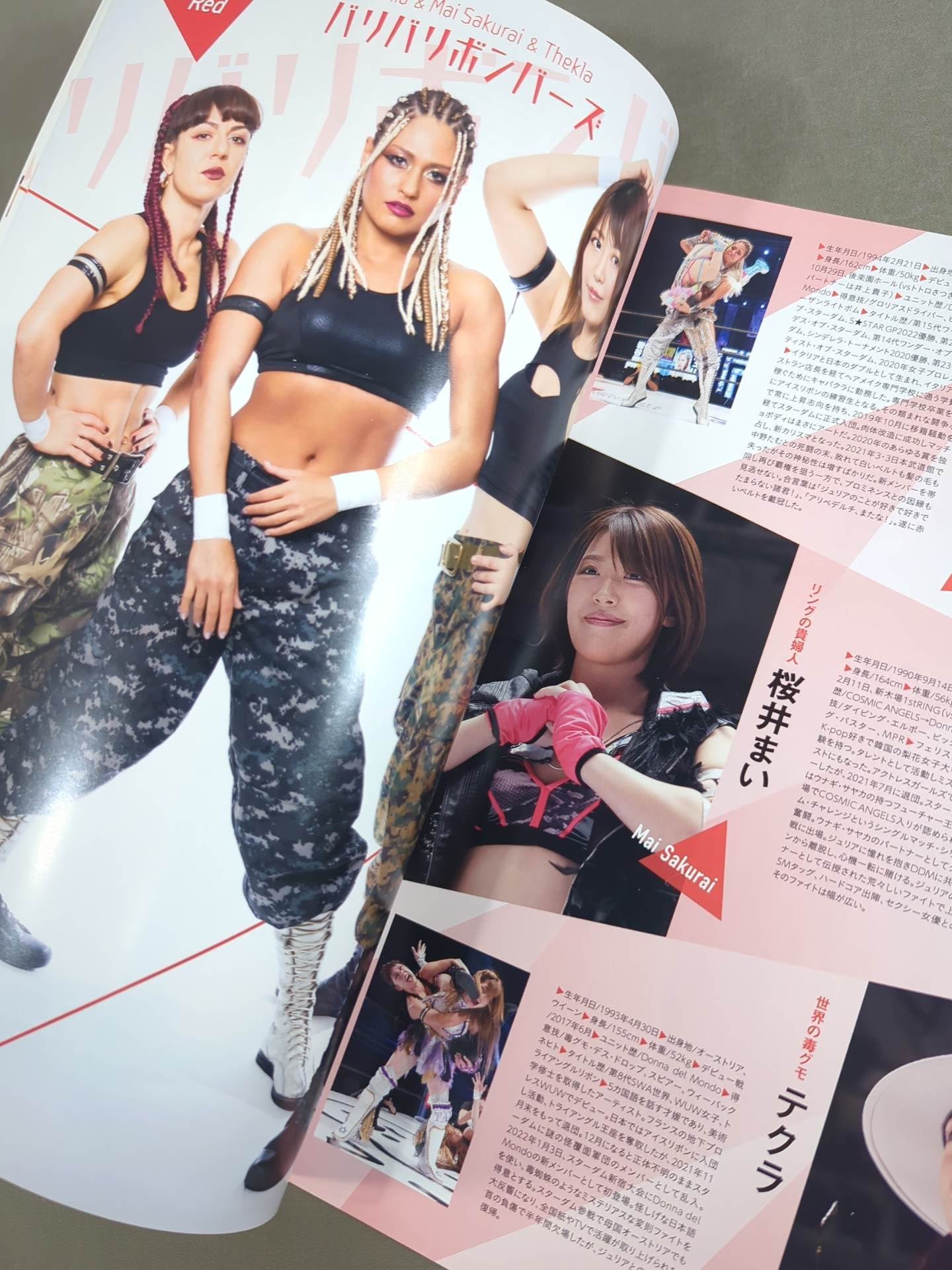 STARDOM OFFICIAL GUIDE BOOK Vol.145