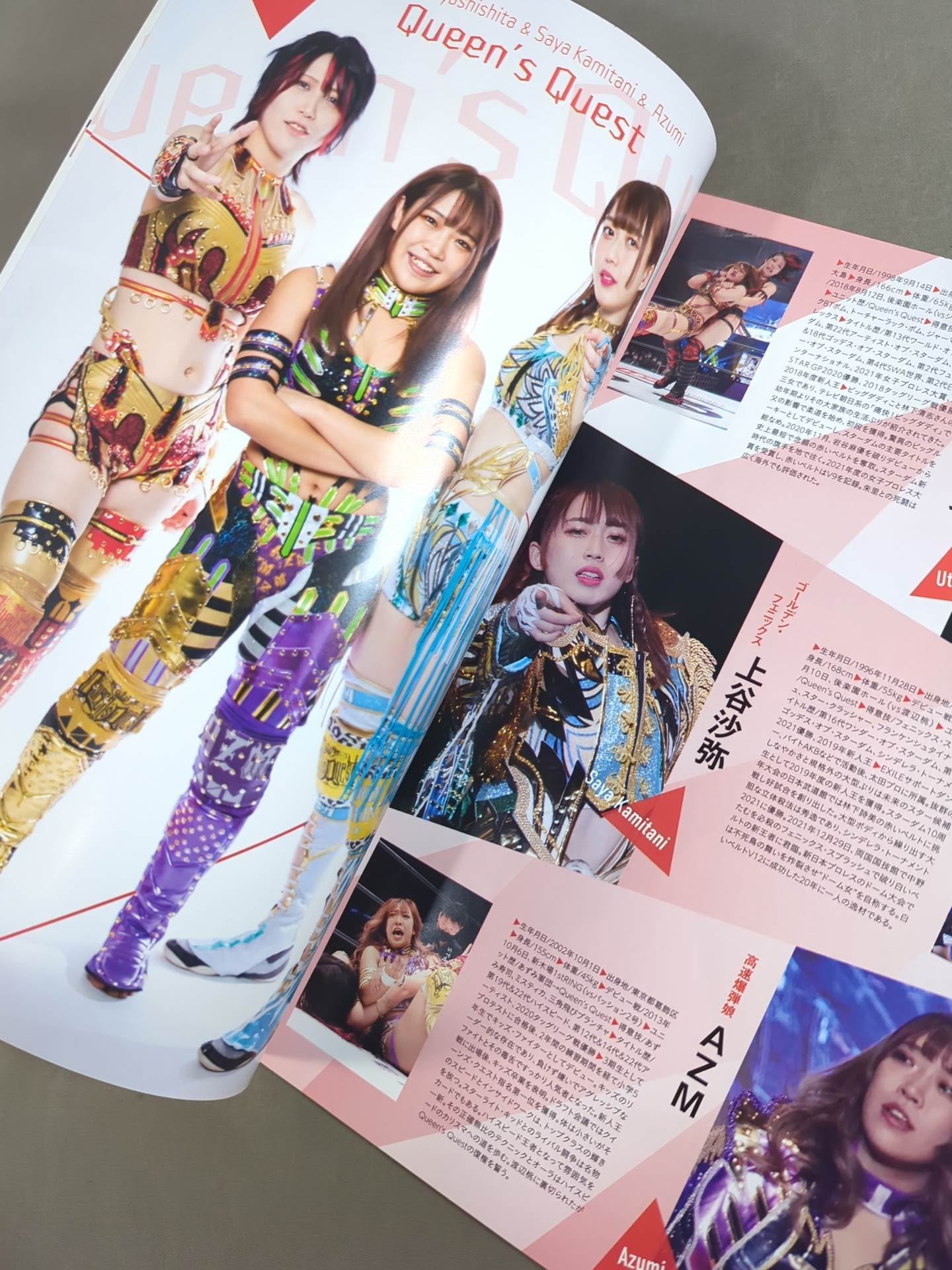 STARDOM OFFICIAL GUIDE BOOK Vol.145
