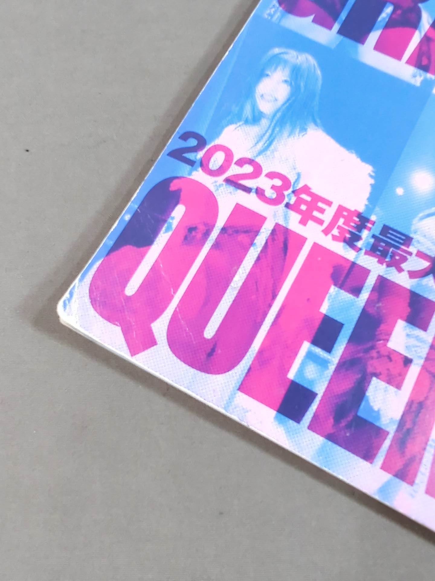 STARDOM OFFICIAL GUIDE BOOK Vol.145