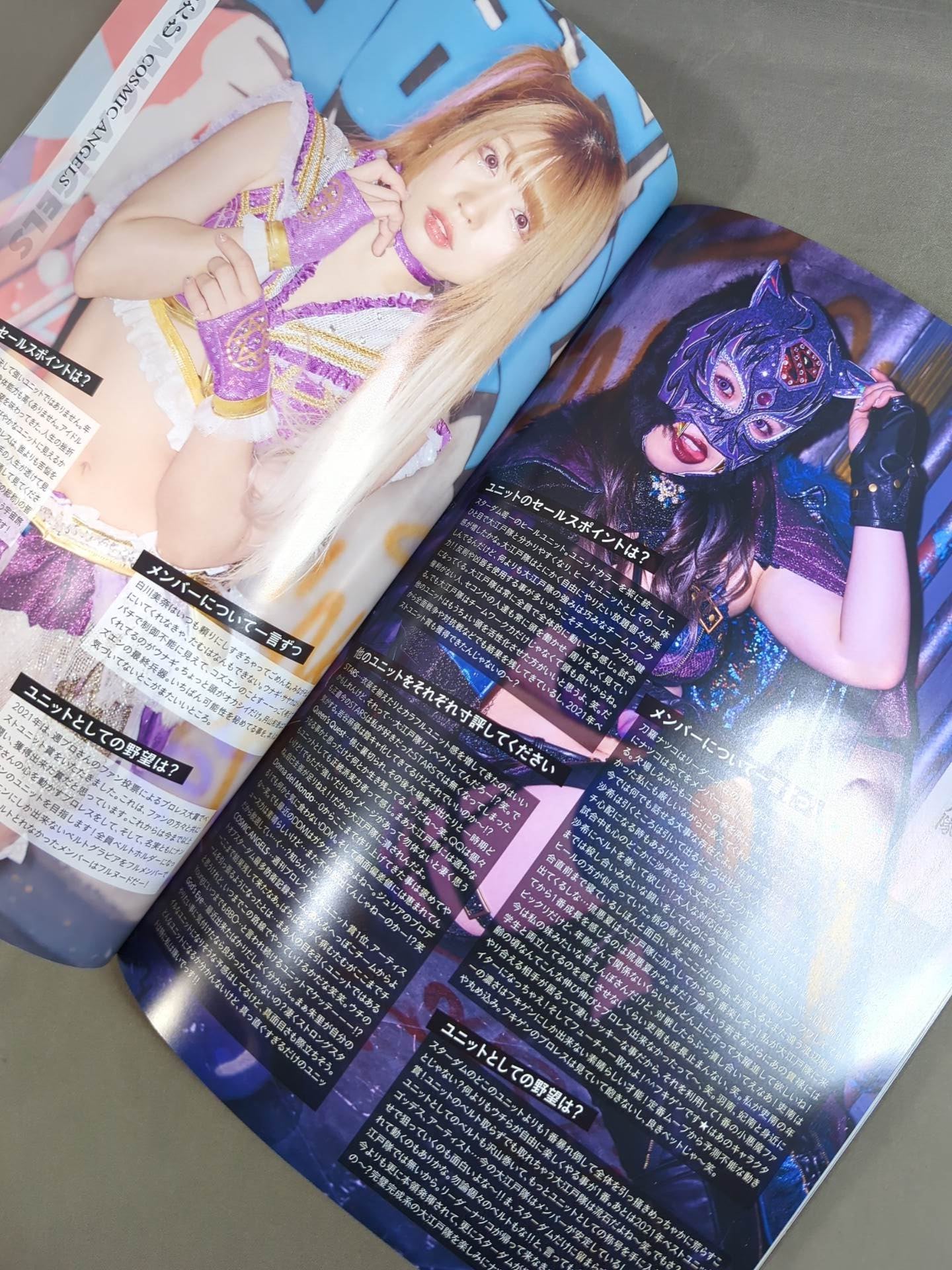 STARDOM OFFICIAL GUIDE BOOK Vol.142