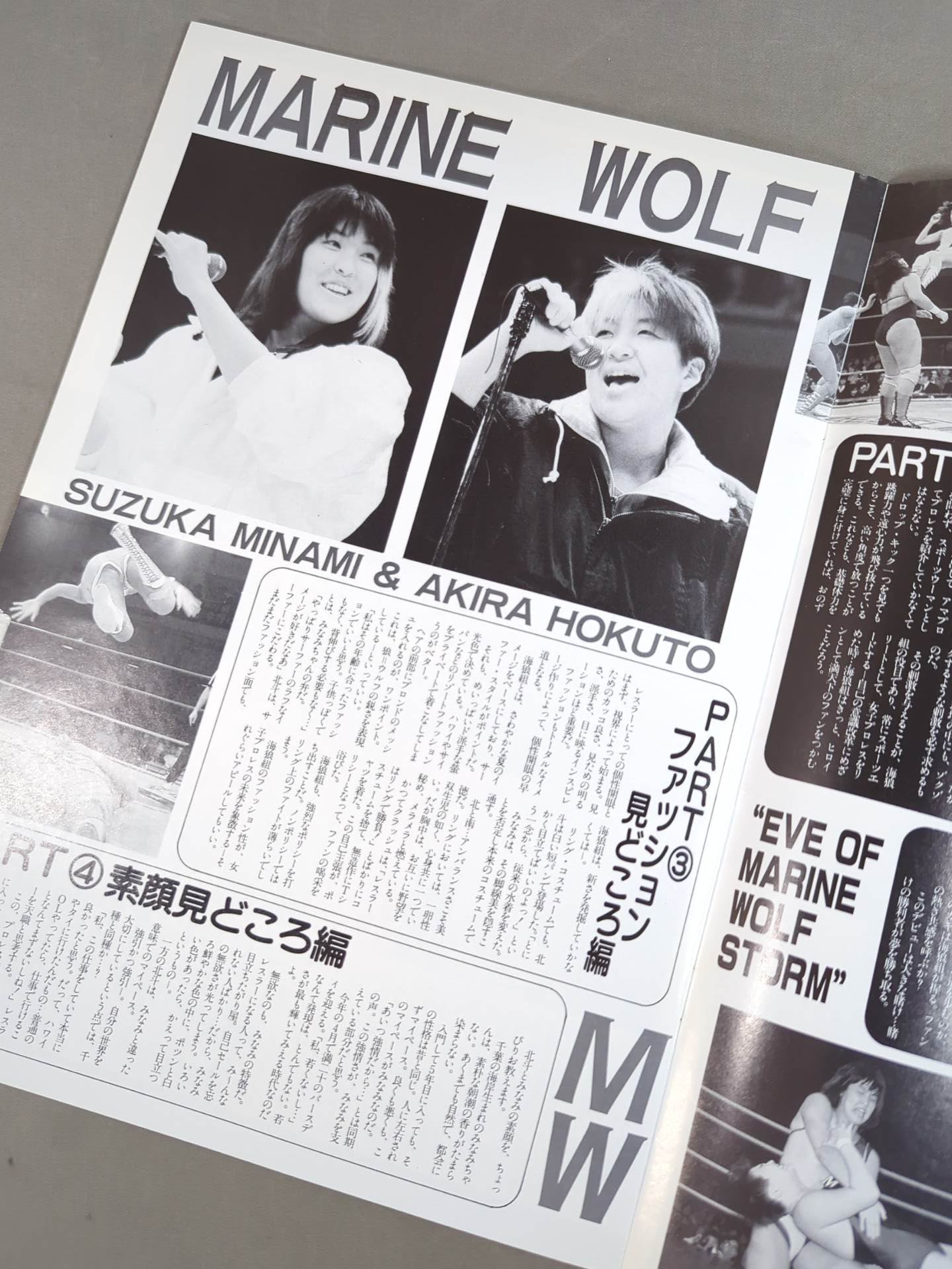 Ringstar PROGRAM 1989 VOLUME No.2