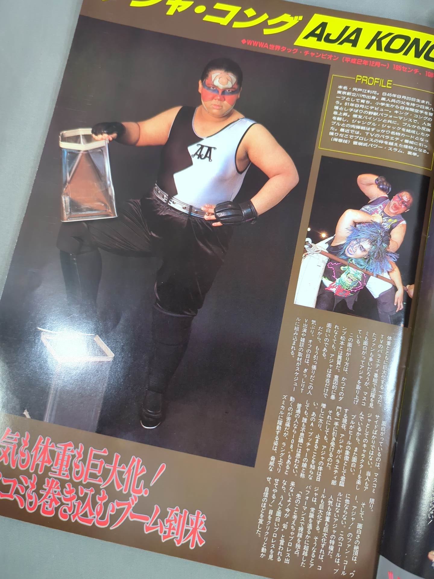 Ringstar PROGRAM 1991 Vol.9