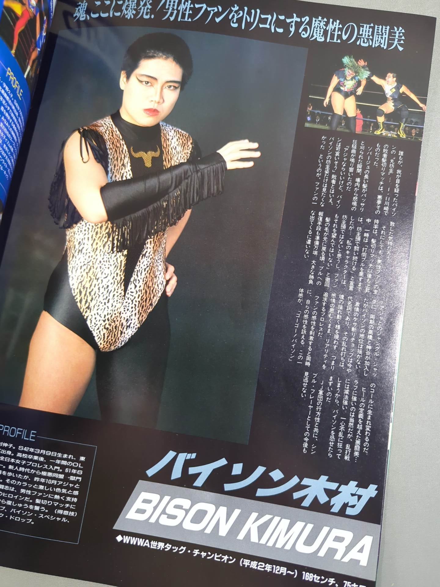 Ringstar PROGRAM 1991 Vol.9