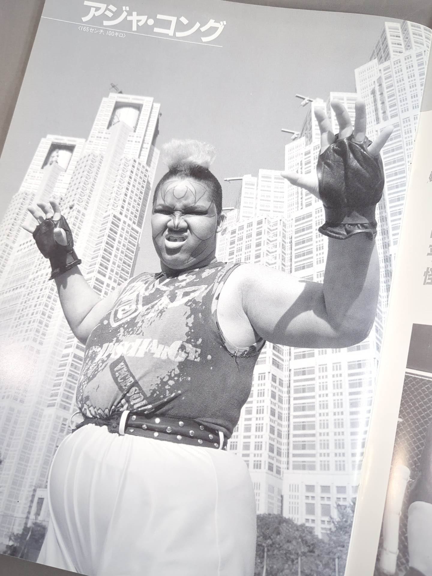 Ringstar PROGRAM 1991 Vol.8