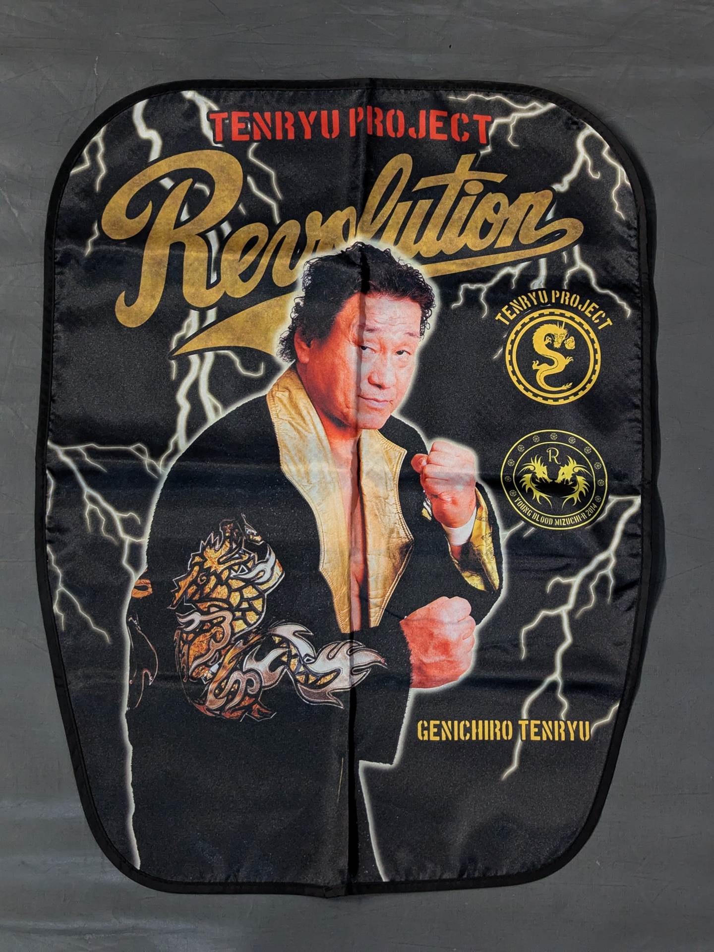 Tenryu Genichiro  Photo Print Chair Covers(2)