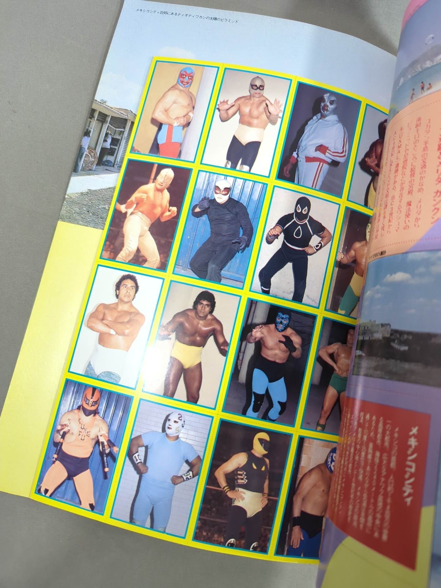 週刊プロレス別冊4 ｢VIVA!LUCHA LIBRE ビバ!ルチャ・リブレ｣