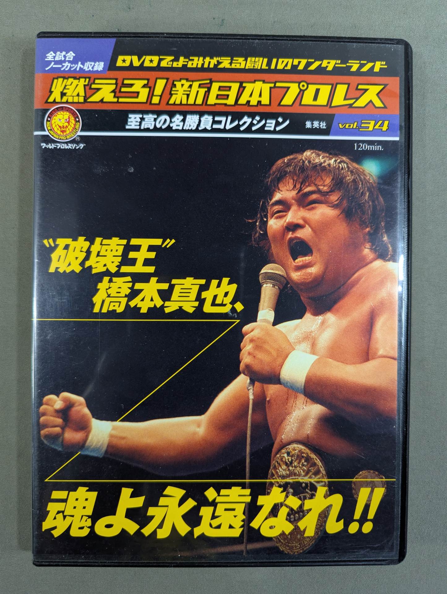 燃えろ!新日本プロレス vol.34
