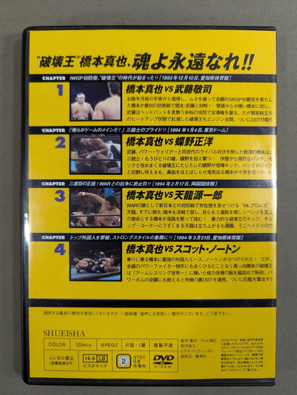 燃えろ!新日本プロレス vol.34