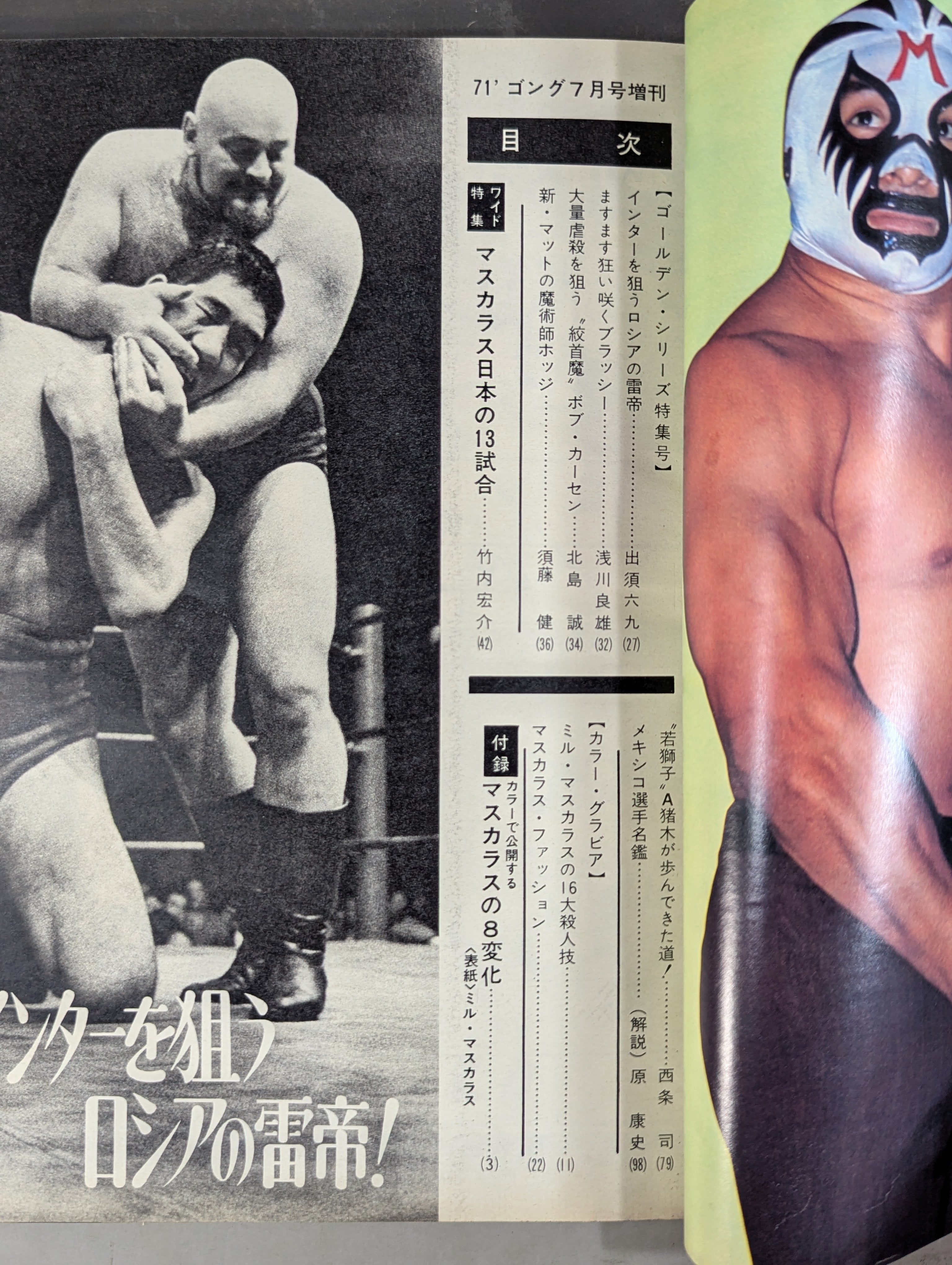 月刊ゴングVol.4 No.8増刊 – 闘道館