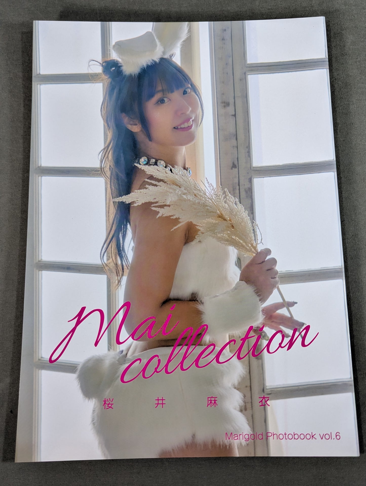 Mai Sakurai photo  collection Mai Collection