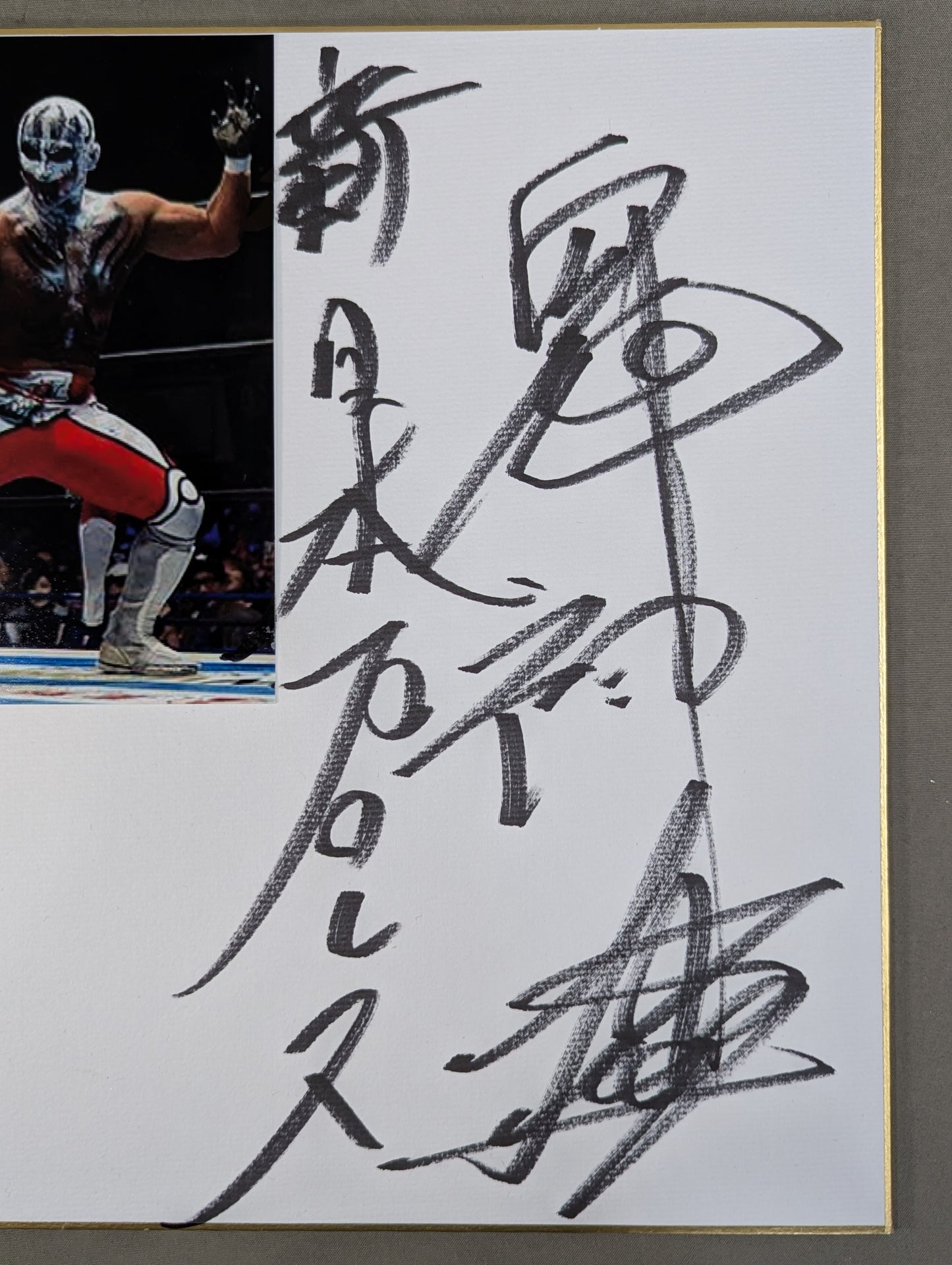 Demon God Liger (photo attached)