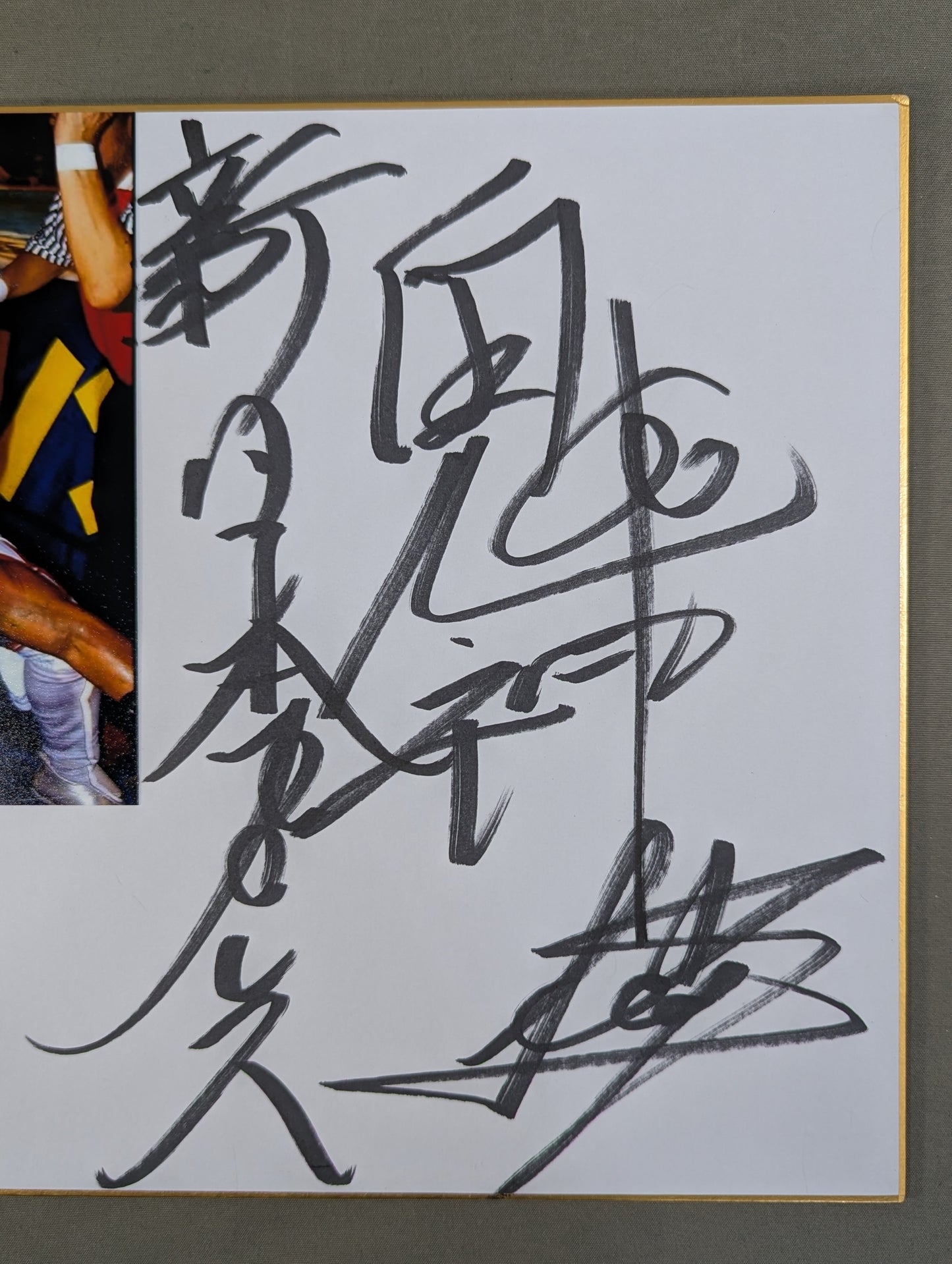 Demon God Liger (photo attached)