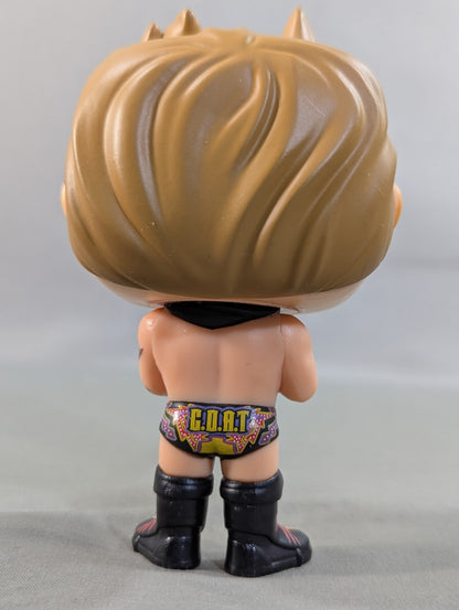 Chris Jericho  (POP! No.40)