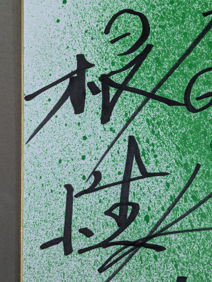 ★ Poisonous mist spray!! ★ The Great Kabuki (Green, Guts)