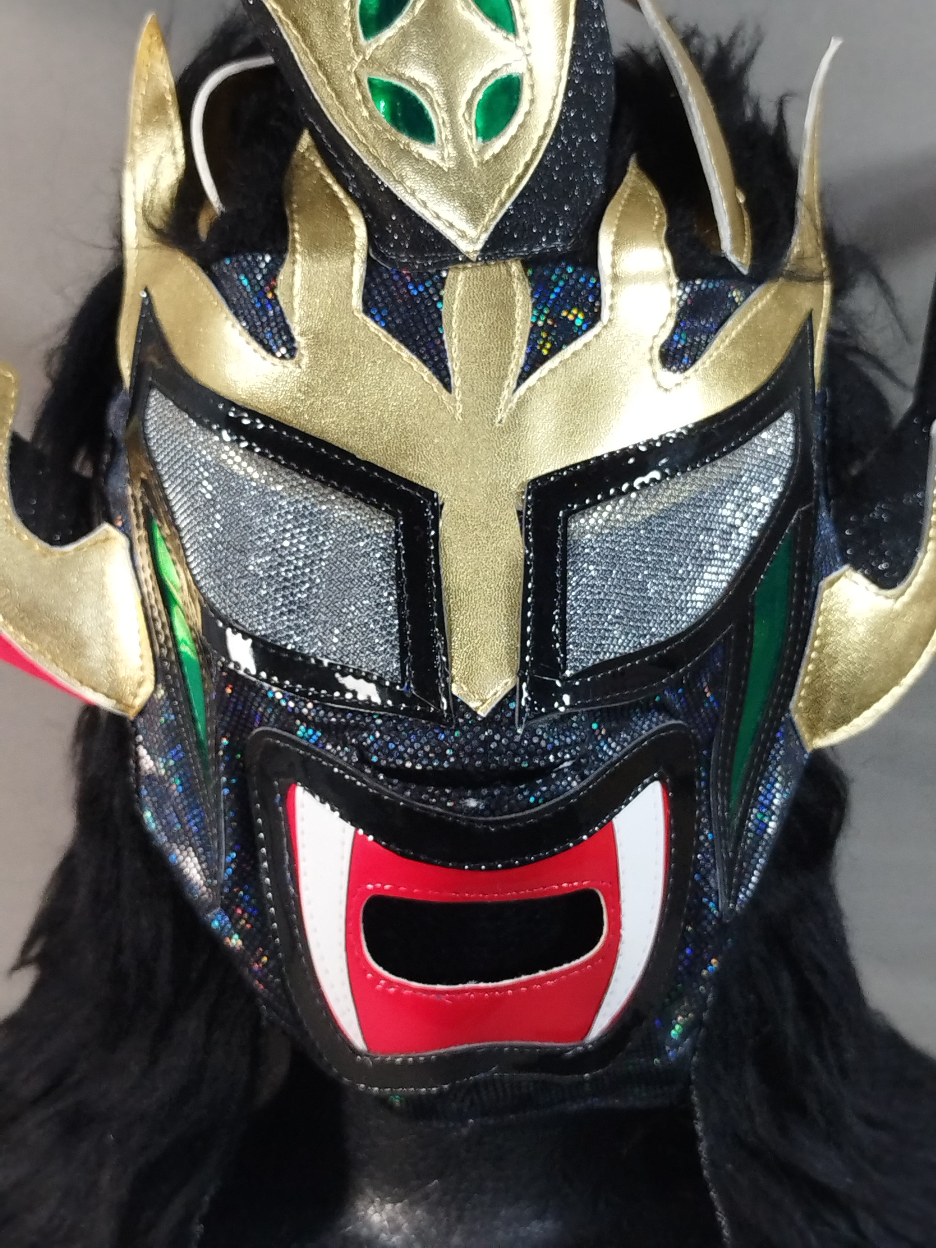 獣神サンダー・ライガー – 闘道館