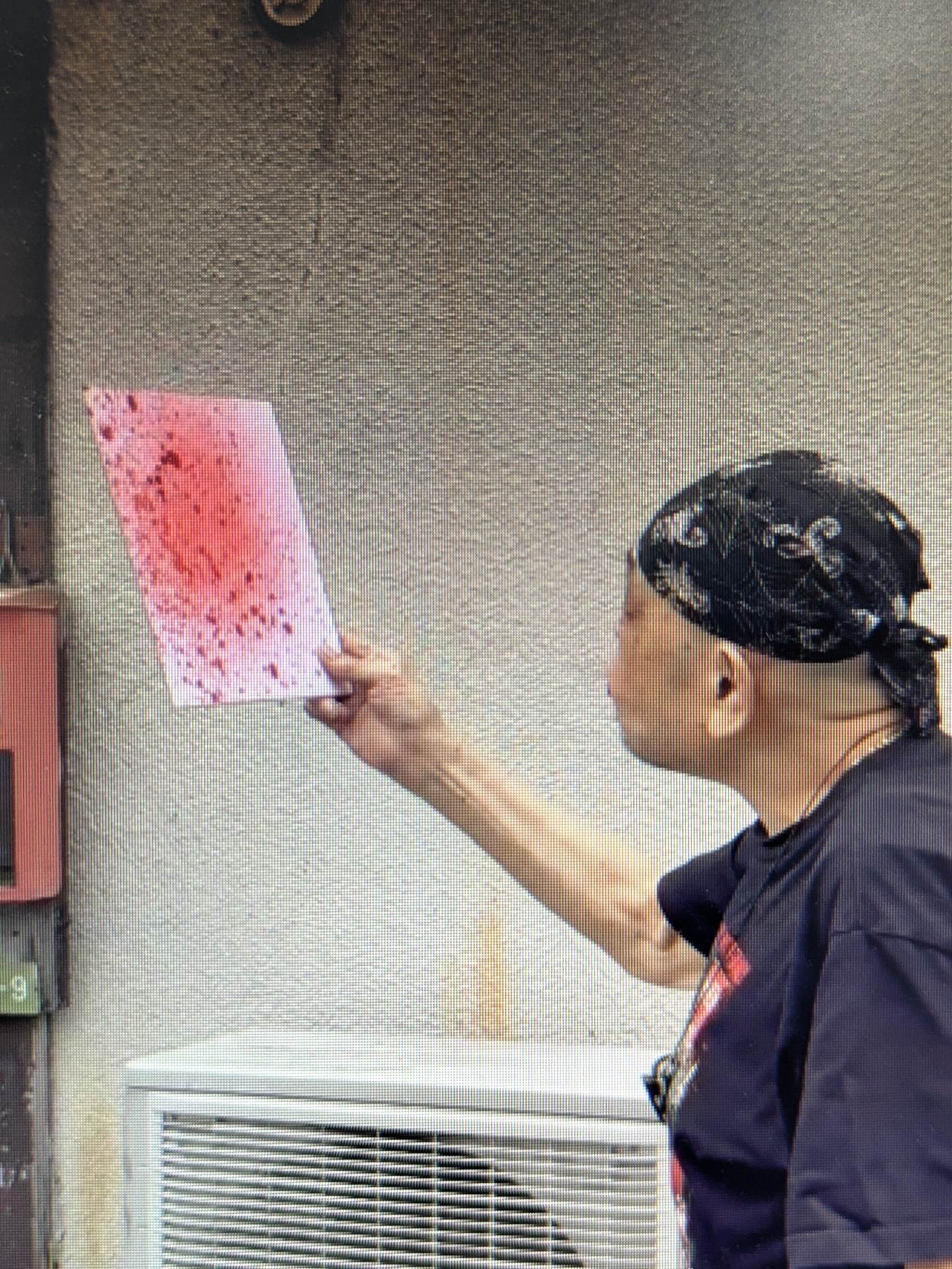 ★ Poisonous mist spray!! ★ The Great Kabuki (Red, Guts)