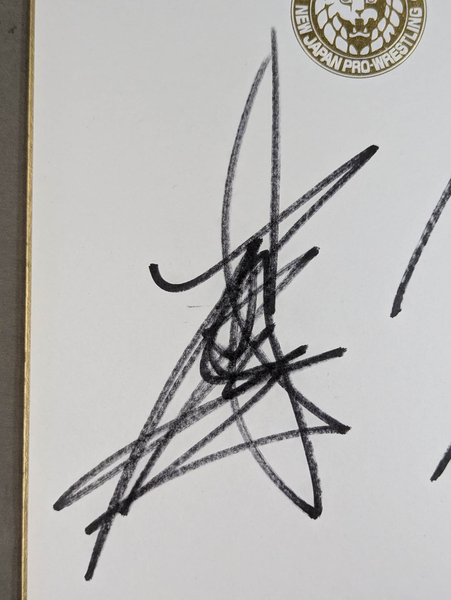 ★ Friendship Tag ★ Team Hiroyoshi Tenzan & Takashi Iizuka  (Lion Mark Shikishi ( Autograph board ) )