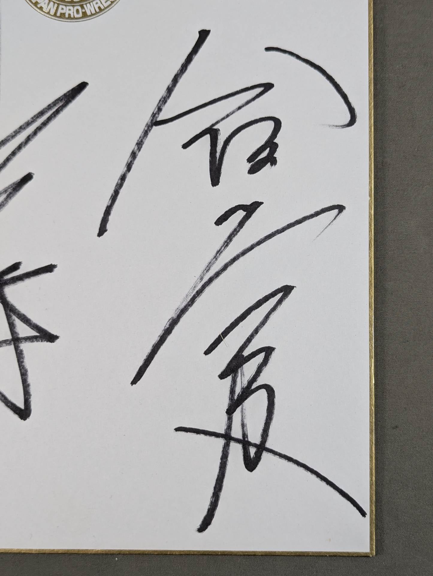 ★ Friendship Tag ★ Team Hiroyoshi Tenzan & Takashi Iizuka  (Lion Mark Shikishi ( Autograph board ) )