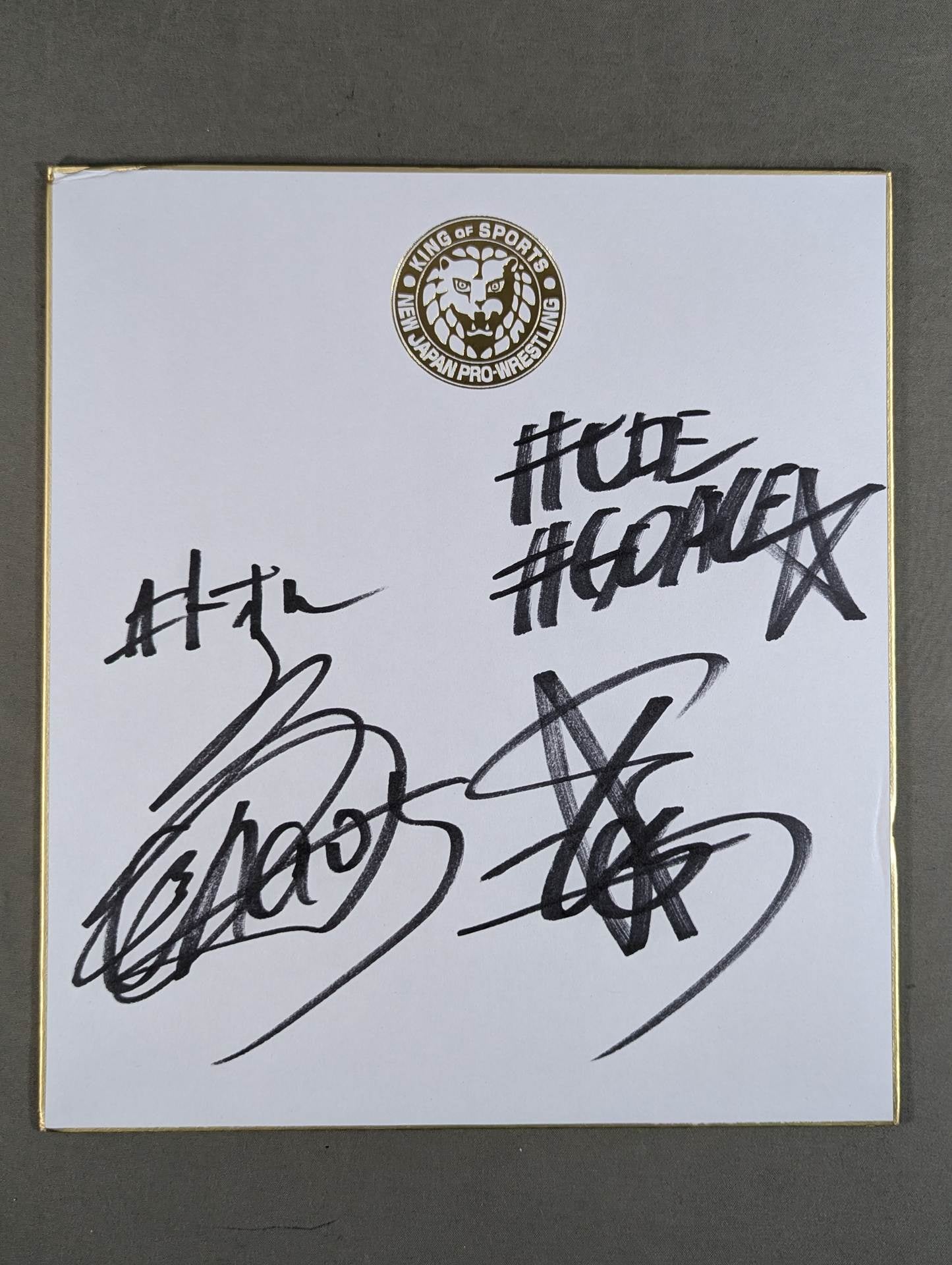 Toru Yano  &Hiroshi Tanahashi (Lion Mark Shikishi ( Autograph board ) ・ With photo)