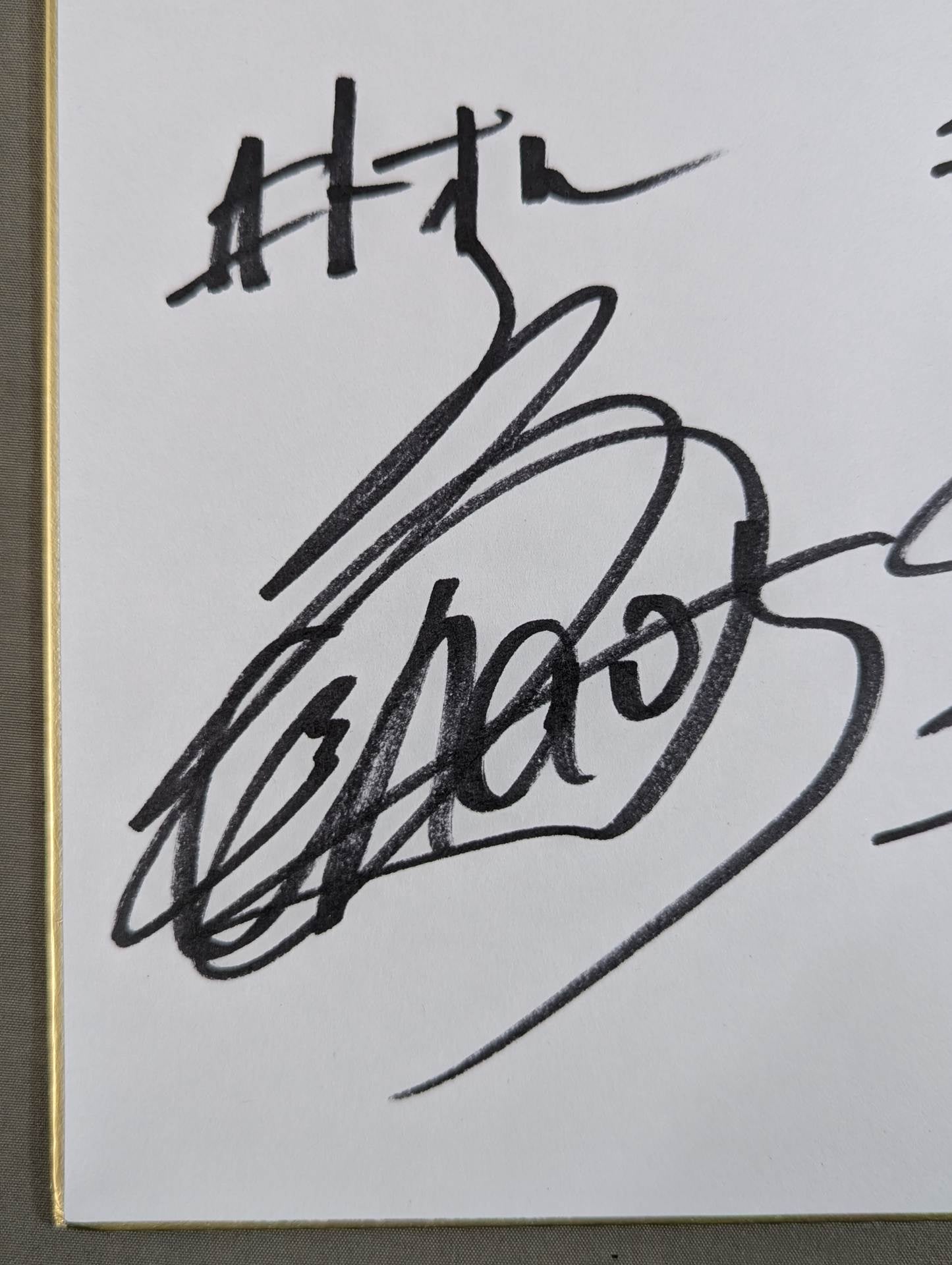 Toru Yano  &Hiroshi Tanahashi (Lion Mark Shikishi ( Autograph board ) ・ With photo)