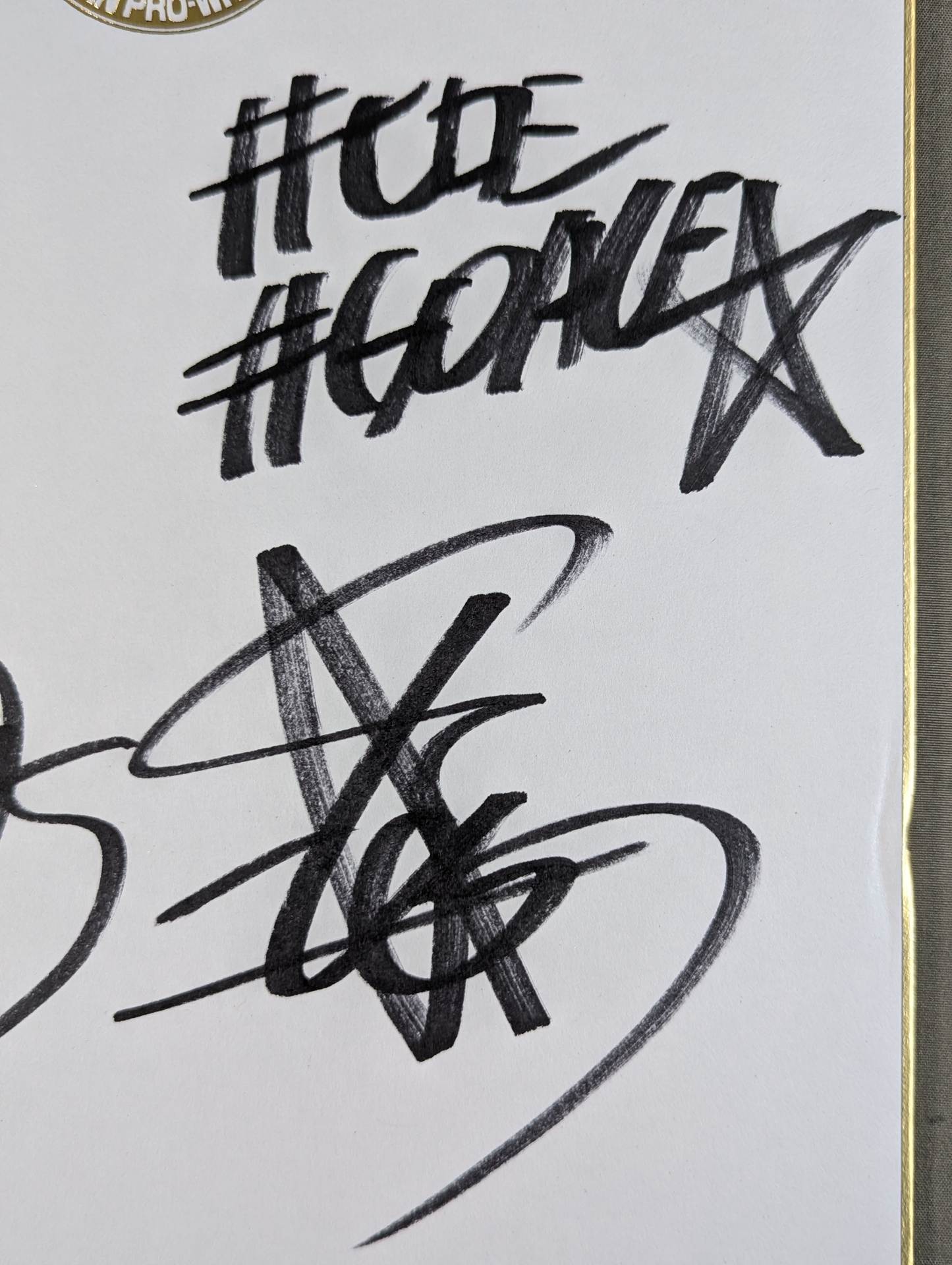 Toru Yano  &Hiroshi Tanahashi (Lion Mark Shikishi ( Autograph board ) ・ With photo)