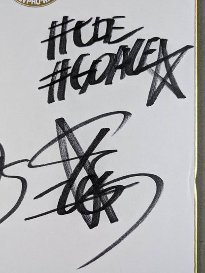 Toru Yano  &Hiroshi Tanahashi (Lion Mark Shikishi ( Autograph board ) ・ With photo)