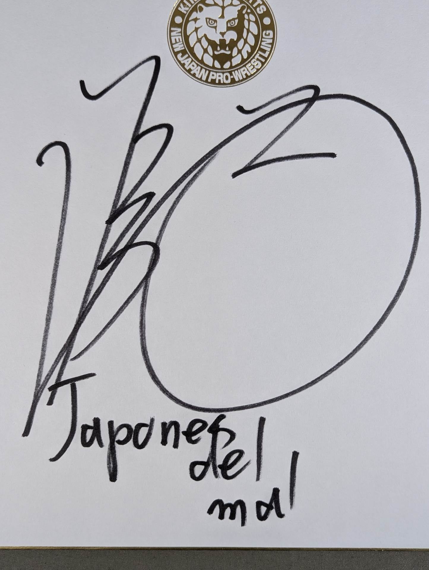DOUKI(Lion Mark Shikishi ( Autograph board ) )