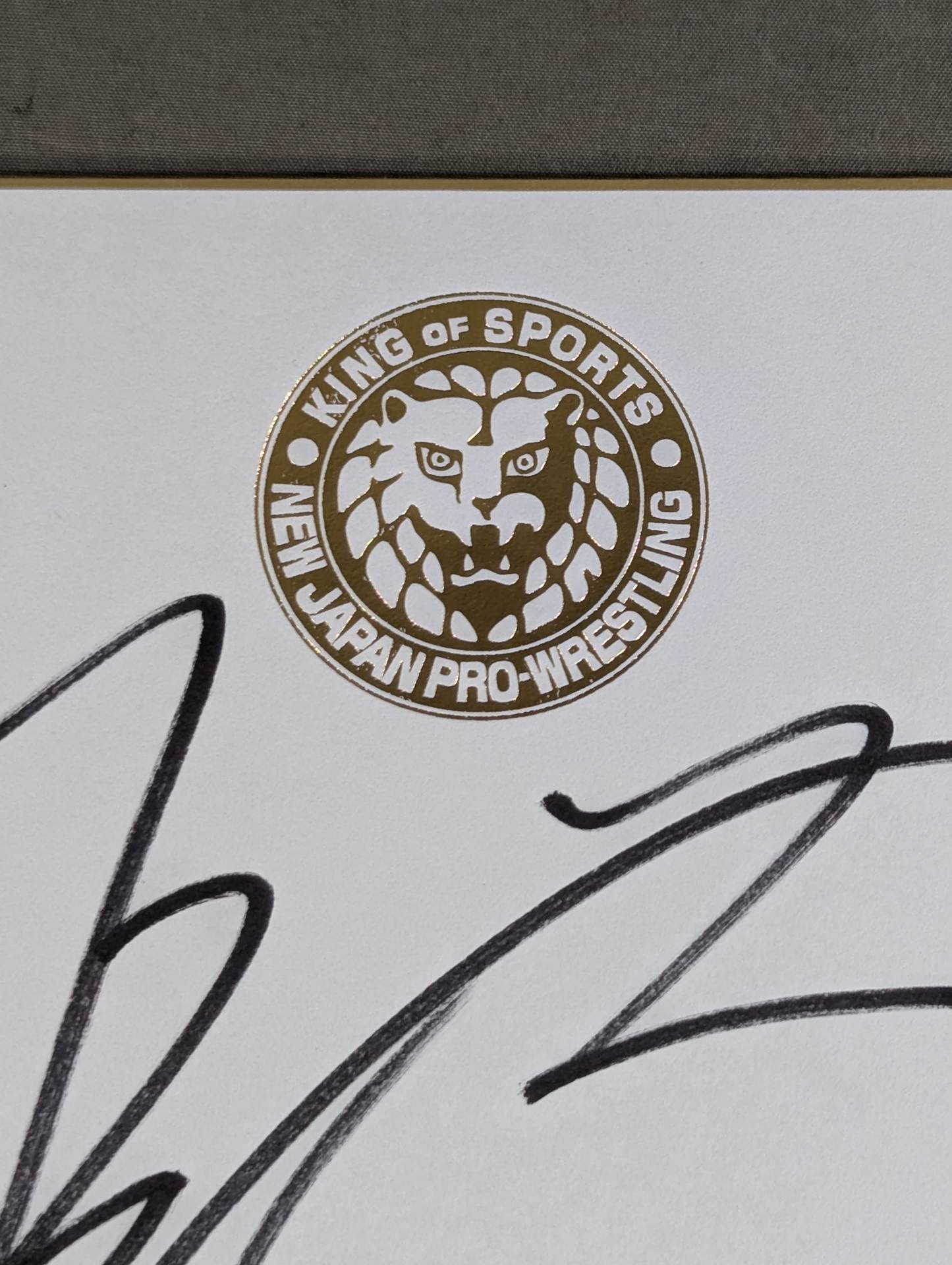DOUKI(Lion Mark Shikishi ( Autograph board ) )