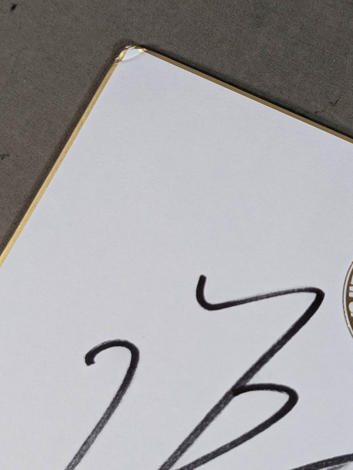 DOUKI(Lion Mark Shikishi ( Autograph board ) )