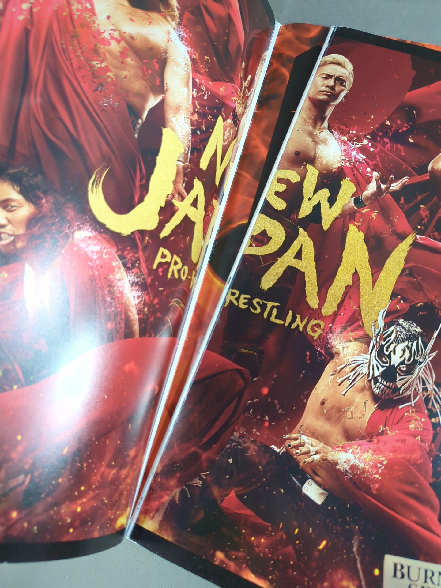 ★ Antonio Inoki  Memorial Tournament ★ Wrestle Kingdom 17 ~Fighting Spirit, Forever~