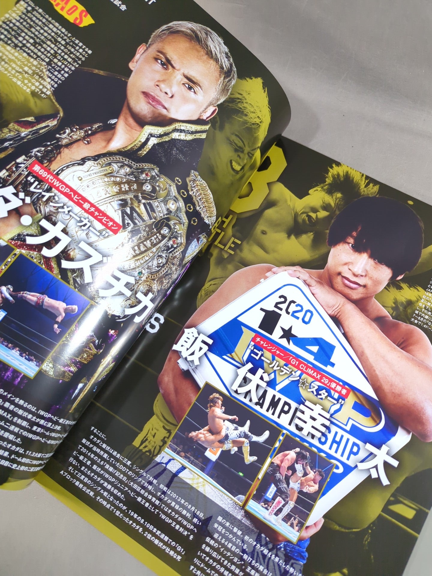 レッスルキングダム14 / WRESTLE KINGDOM 14 – 闘道館