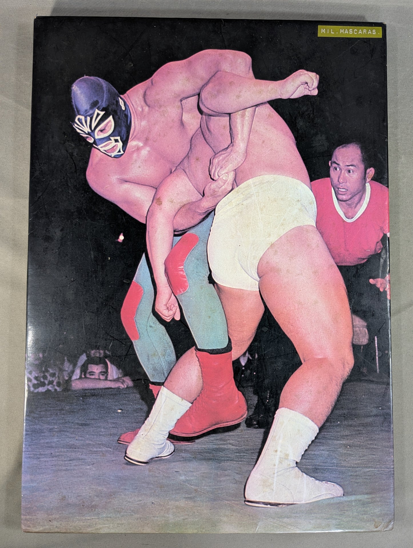 Mil Mascaras  Photo Panel