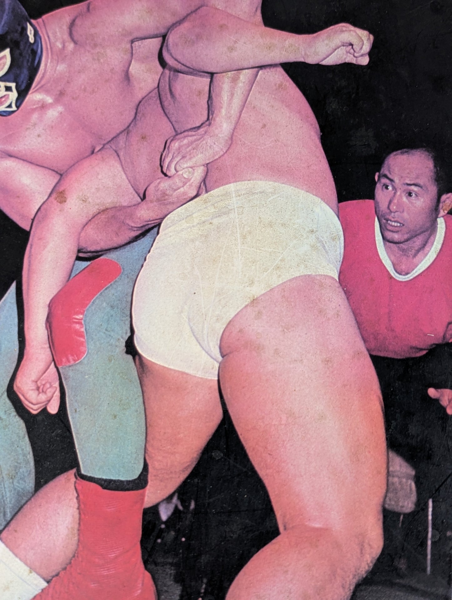 Mil Mascaras  Photo Panel