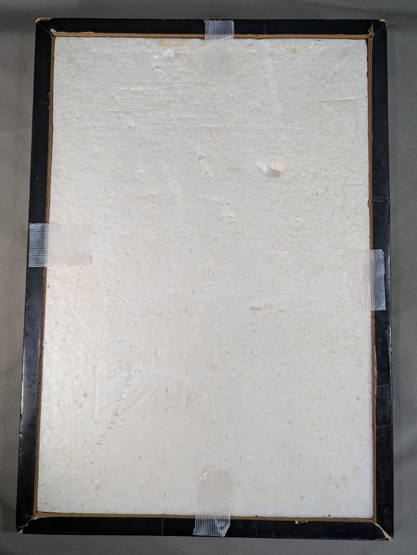 Mil Mascaras  Photo Panel