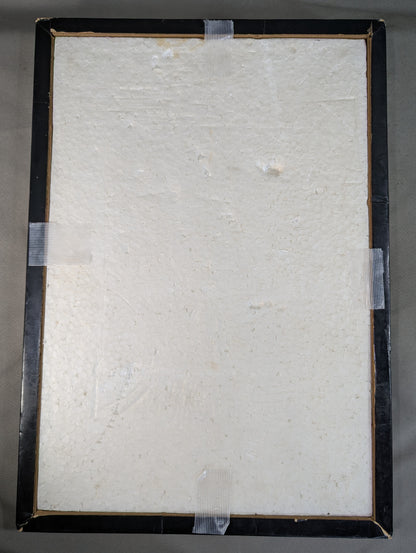 Mil Mascaras  Photo Panel