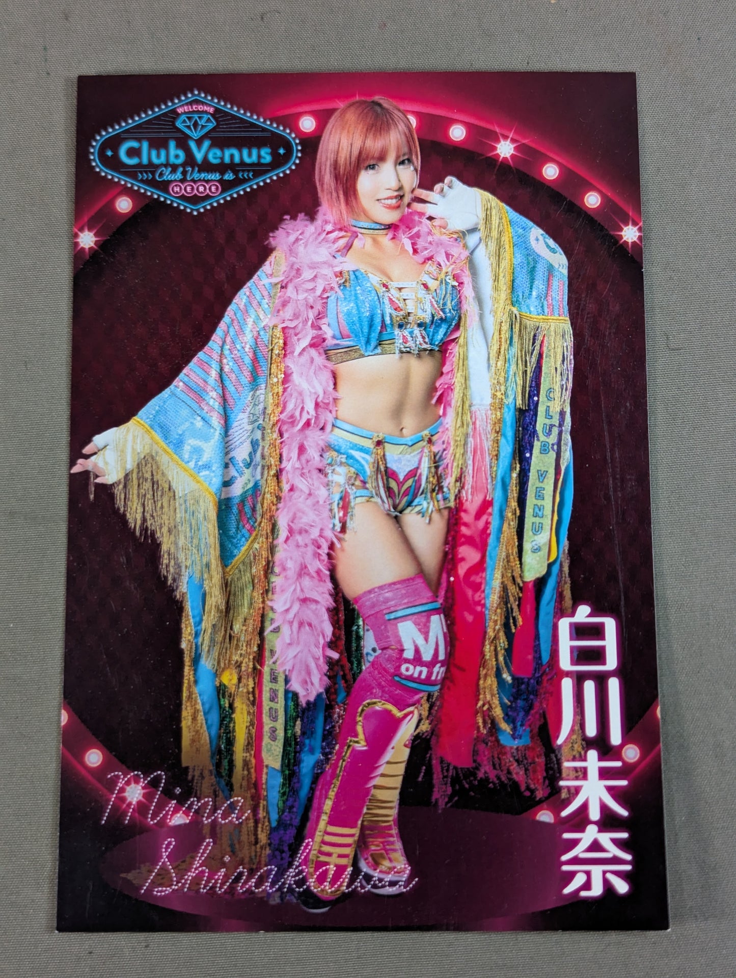 Mina Shirakawa  Photo Session Grand Prize Postcard(1)