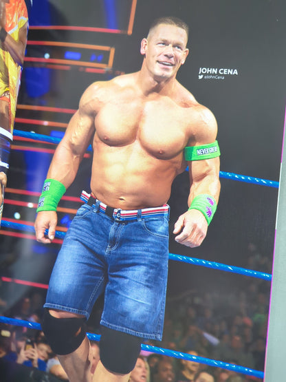 WWE OFFICIAL PROGRAM 2018(B)