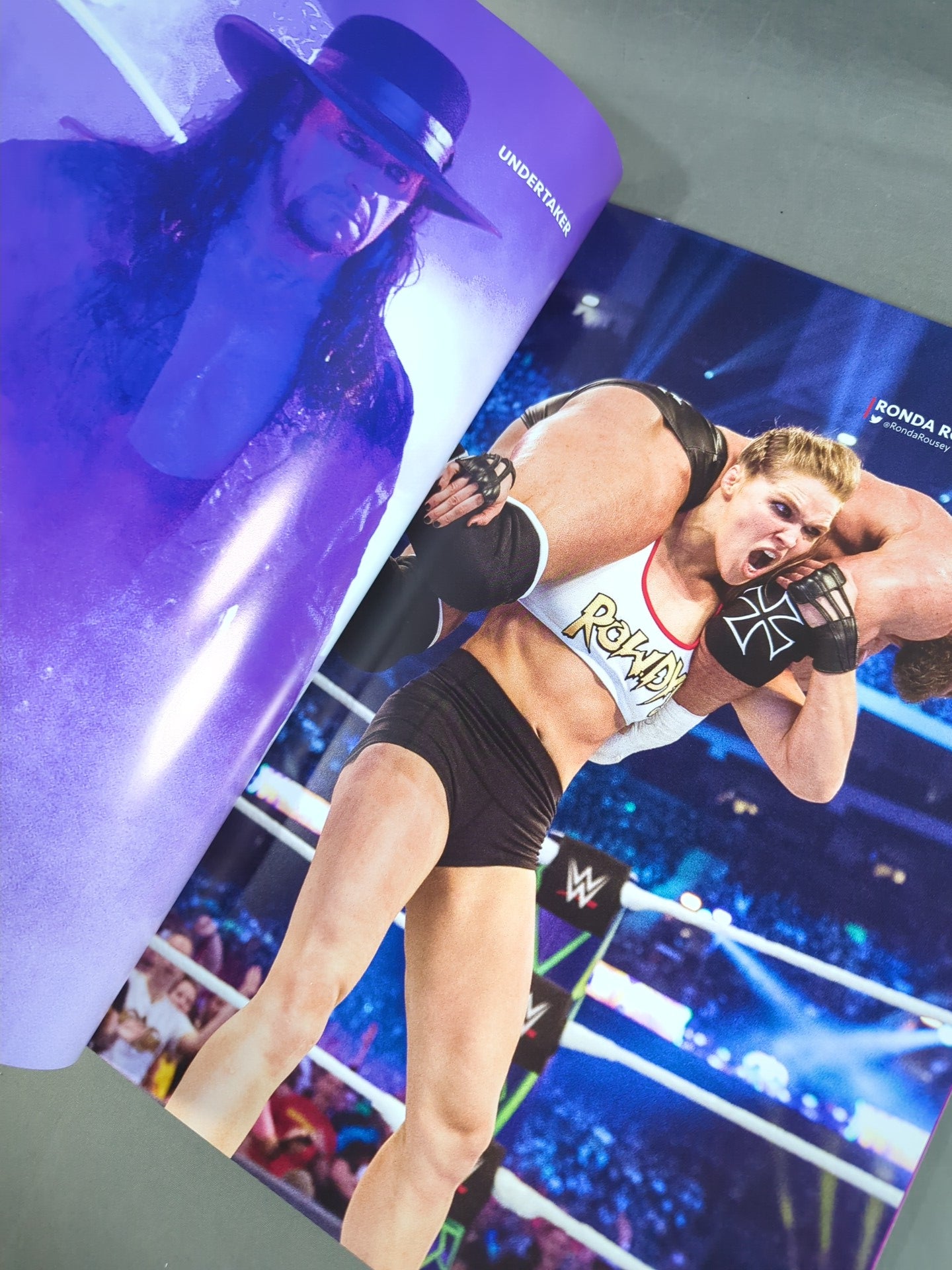 WWE OFFICIAL PROGRAM 2018(B)