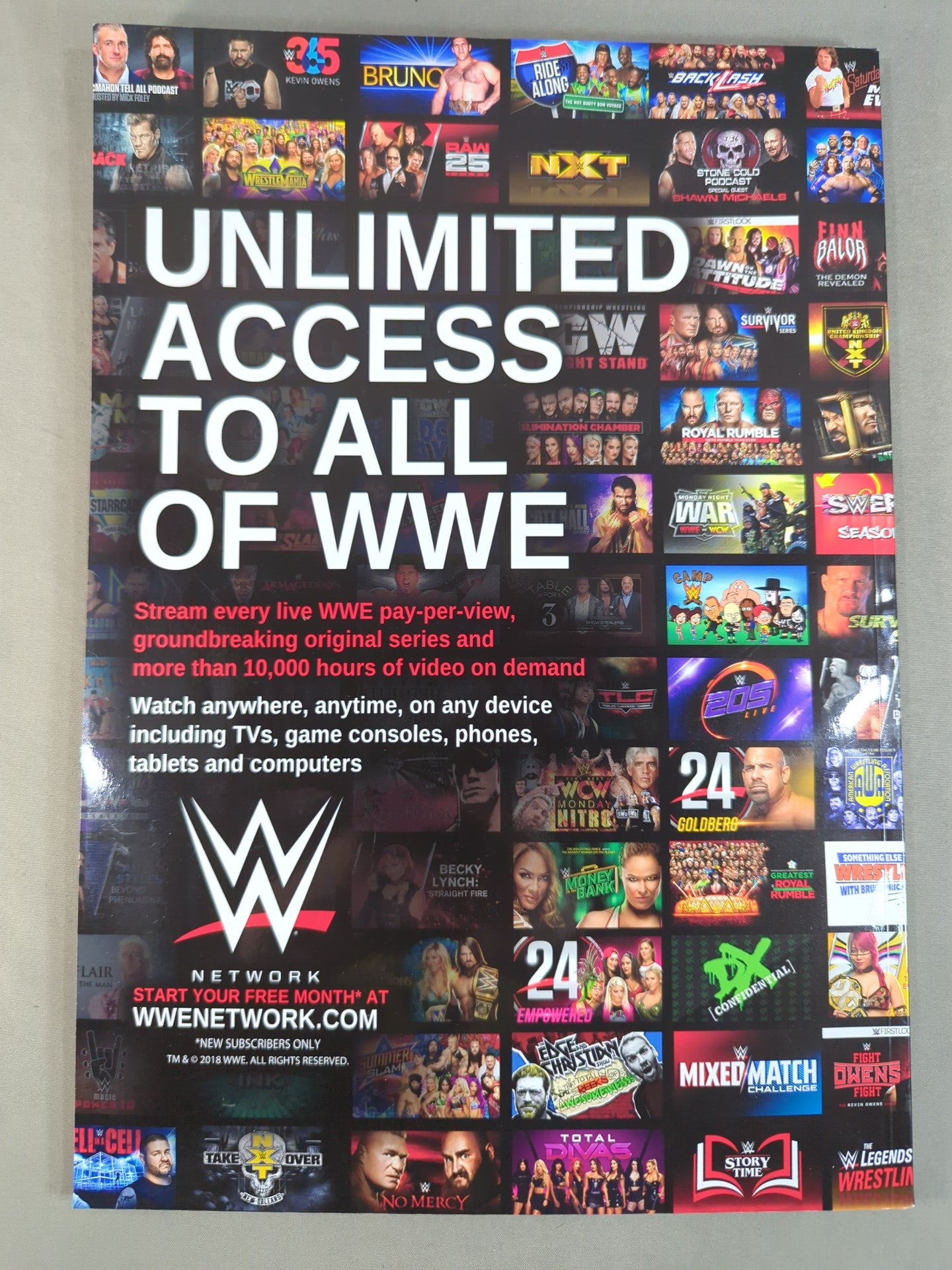WWE OFFICIAL PROGRAM 2018(B)