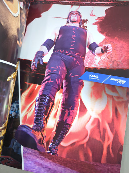 WWE OFFICIAL PROGRAM 2016