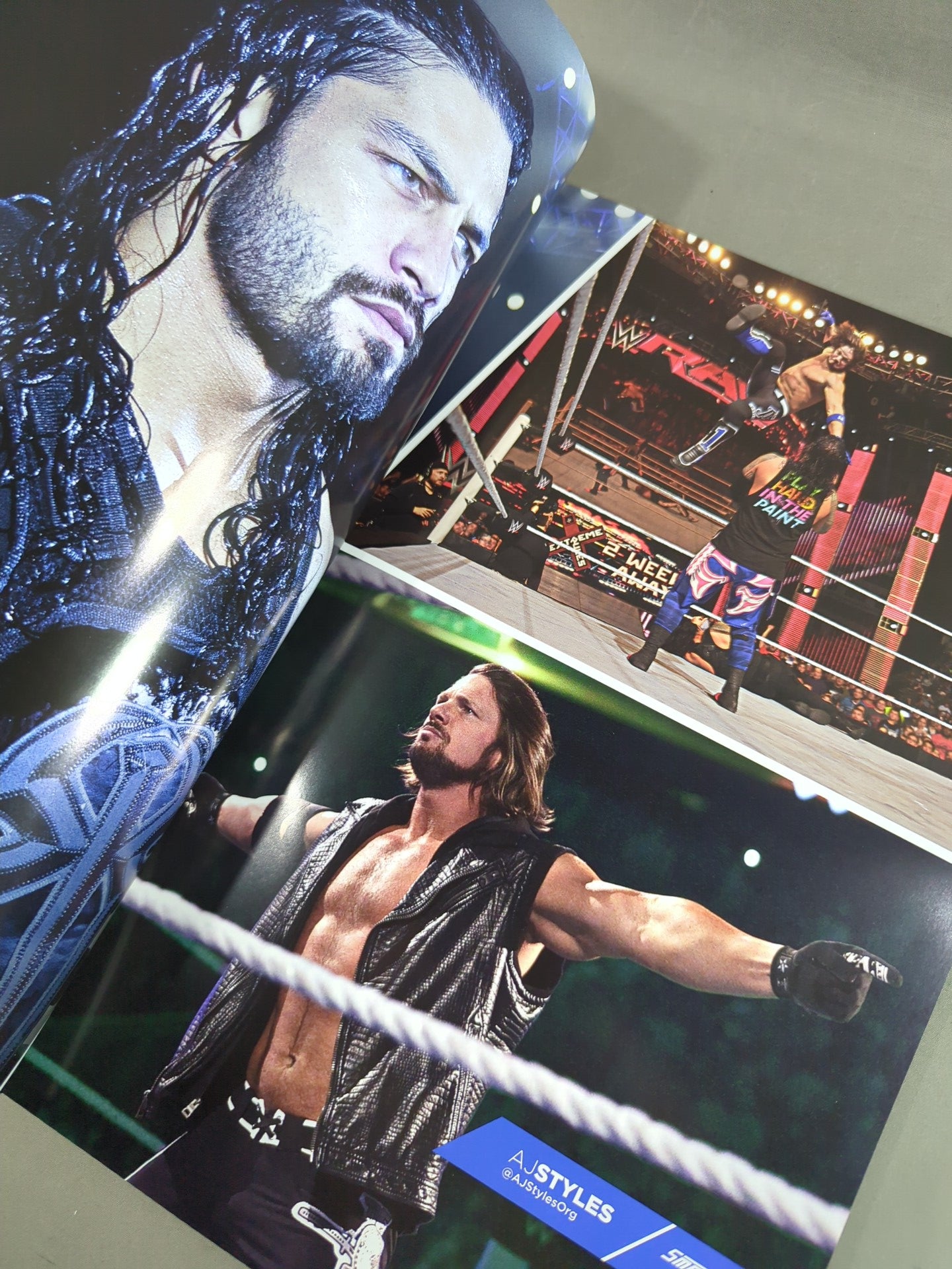 WWE OFFICIAL PROGRAM 2016