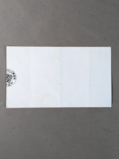 Budokan Queen Retsuden [DESTINY]