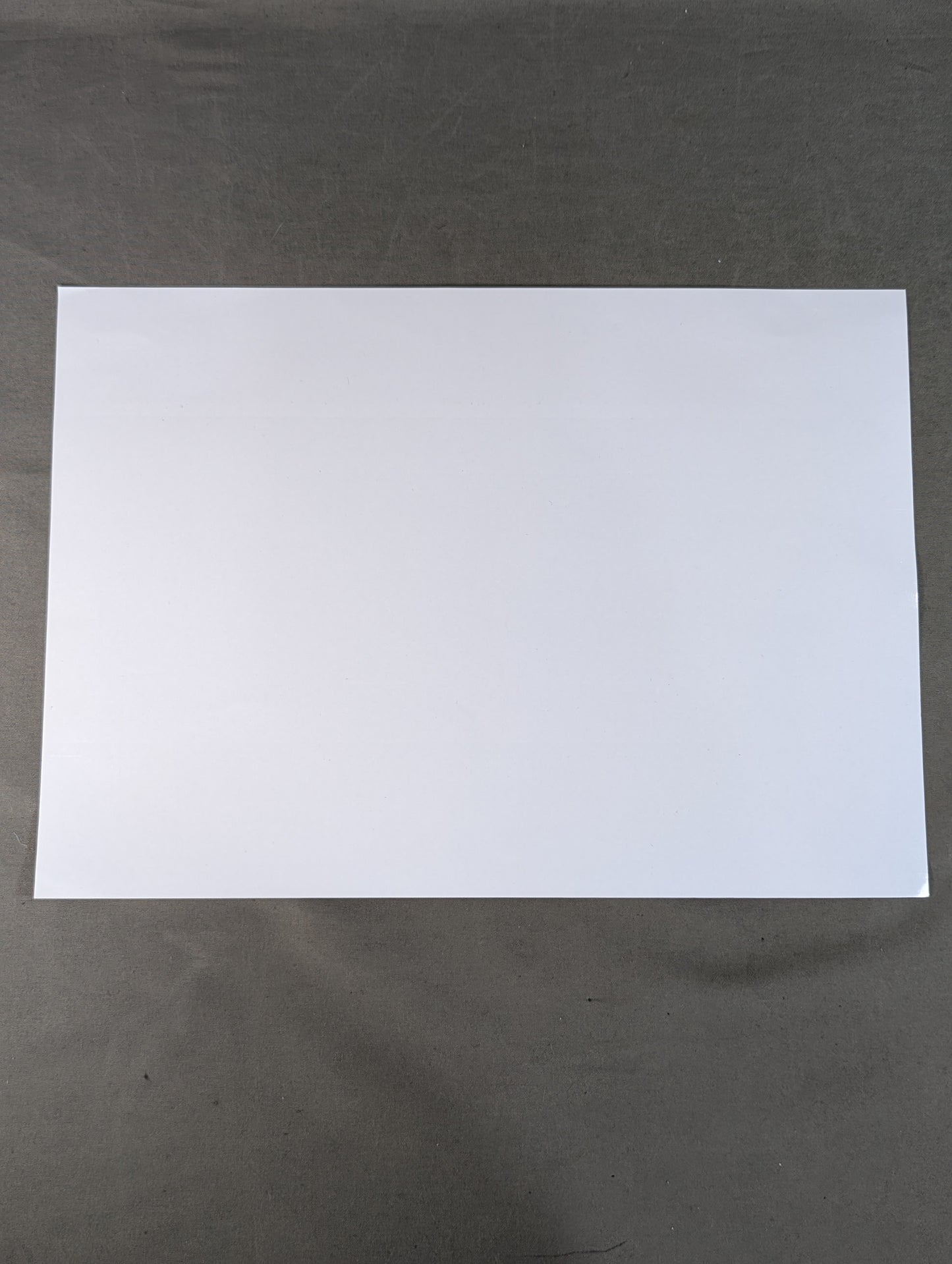 Mil Mascaras  Black and White  large Judgment Photo  (A-1)