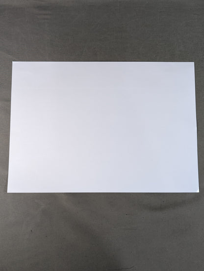 Mil Mascaras  Black and White  large Judgment Photo  (A-1)