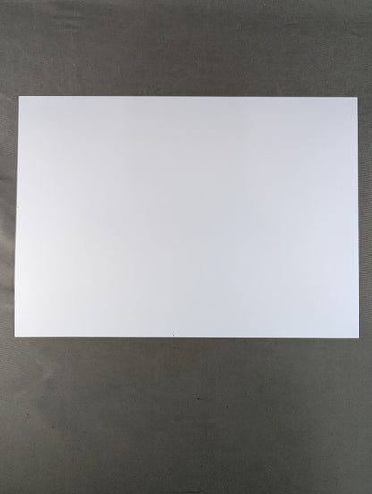 Mil Mascaras  large judgment photo (A-1)